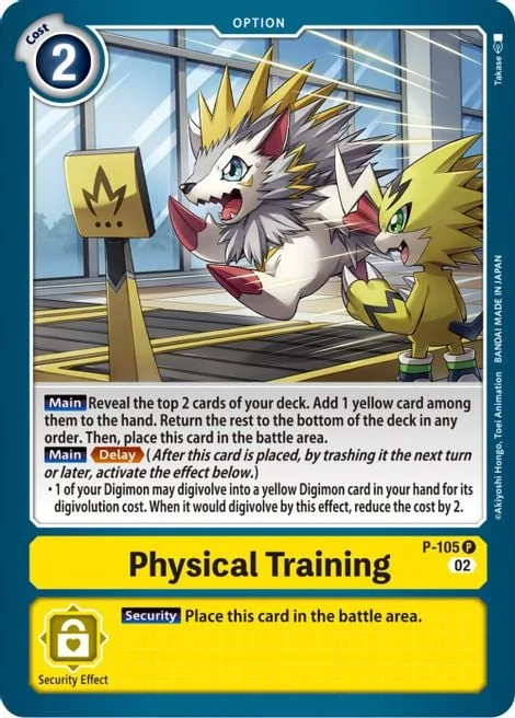 Physical Training (P-105)