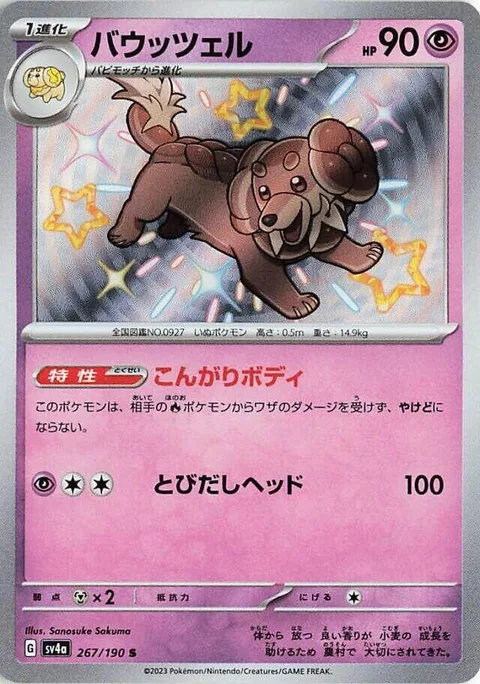 Dachsbun [Well-Baked Body | Headbutt Bounce]