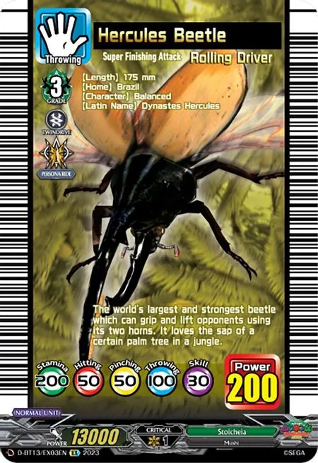 Hercules Beetle [D-Format]