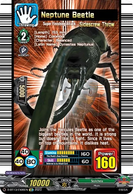 Neptune Beetle [D-Format]