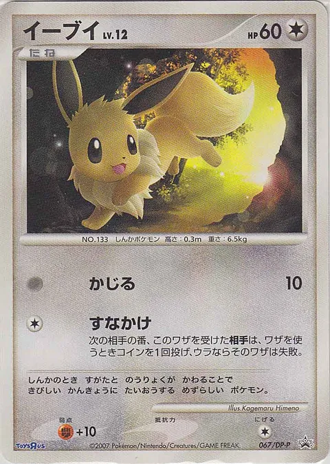 Eevee Lv.12 [Gnaw | Sand Attack]