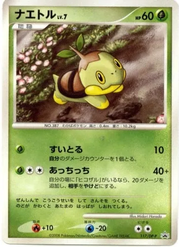 Turtwig Lv.7 [Absorb | Parboil]