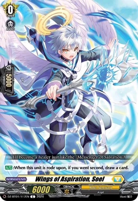 Wings of Aspiration, Soel [D-Format]