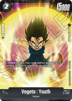 Vegeta : Youth (FS05-14) [Fusion World]