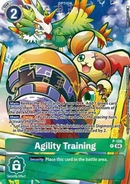 Agility Training (P-106)