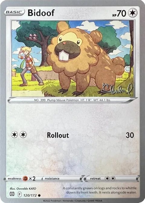 Bidoof [Rollout]
