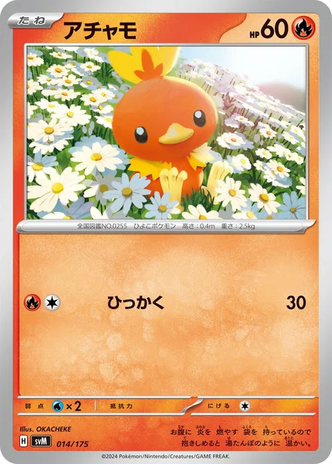 Torchic [Scratch]
