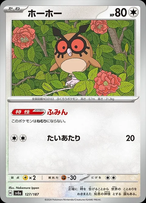 Hoothoot [Insomnia | Tackle]