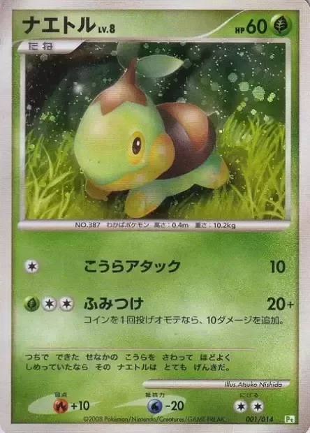 Turtwig Lv.8 [Shell Attack | Stomp]