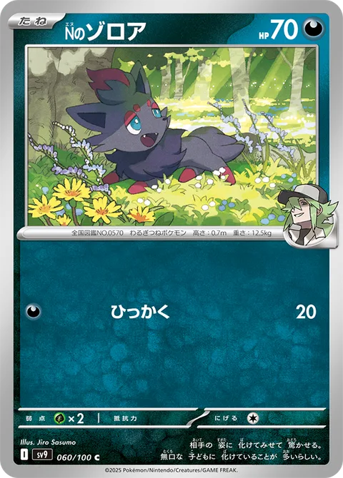 N's Zorua [Scratch]