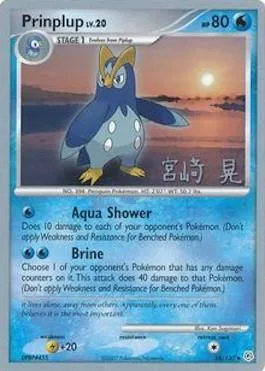 Prinplup Lv.20 [Aqua Shower | Brine]