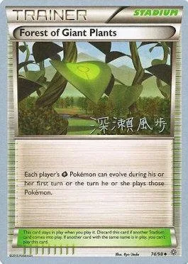 Forest of Giant Plants