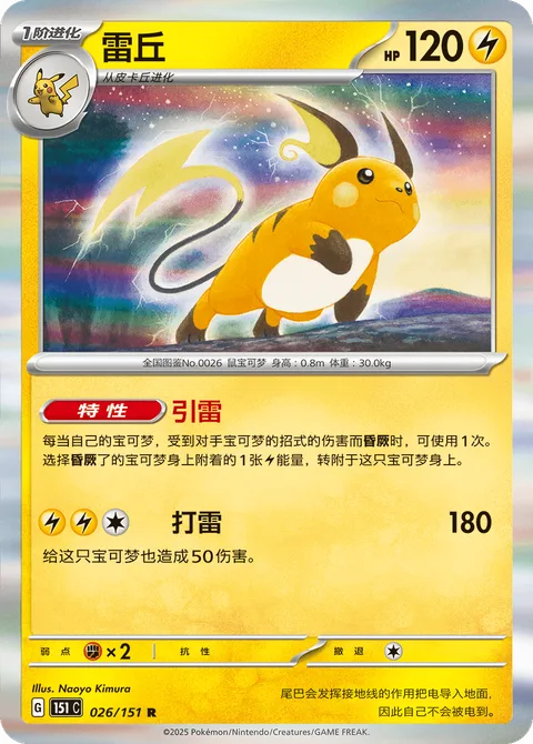 Raichu [Electrical Grounding | Thunder]