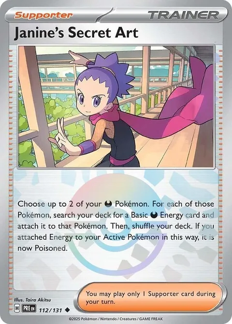 Janine's Secret Art