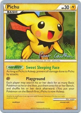Pichu [Sweet Sleeping Face | Playground]