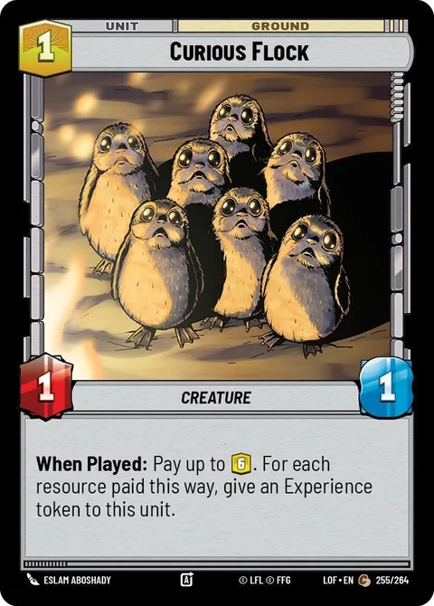 Curious Flock