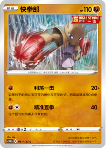 Hitmonchan [Clean Hit | Bullet Straight Punch]