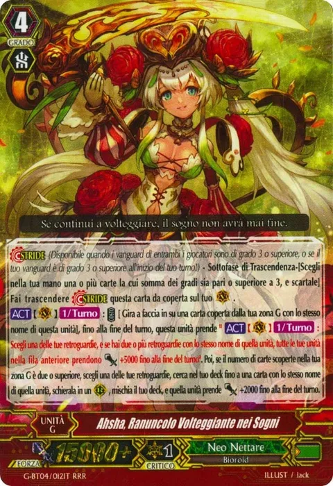 Dream-spinning Ranunculus, Ahsha [G Format]