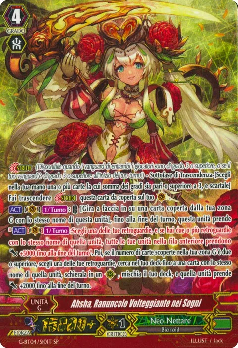 Dream-spinning Ranunculus, Ahsha [G Format]