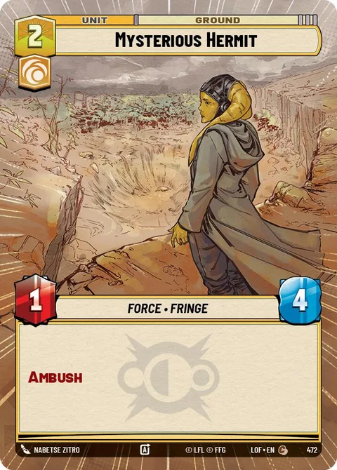 Mysterious Hermit