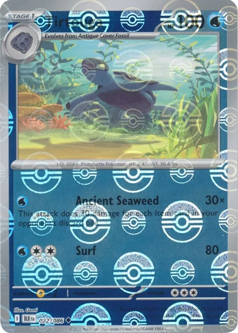 Tirtouga [Ancient Seaweed | Surf]