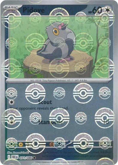 Pidove [Scout | Stampede]
