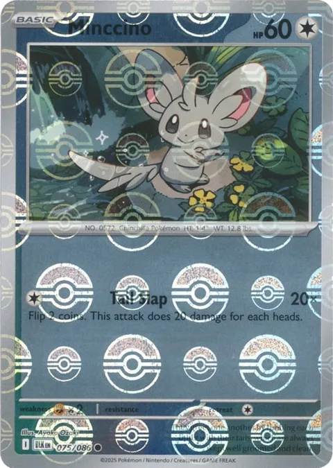 Minccino [Tail Slap | SV]