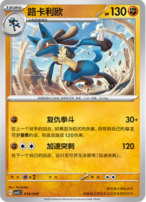 Lucario [Avenging Knuckle | Accelerating Stab]