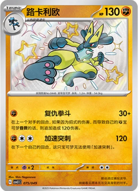 Lucario [Avenging Knuckle | Accelerating Stab]