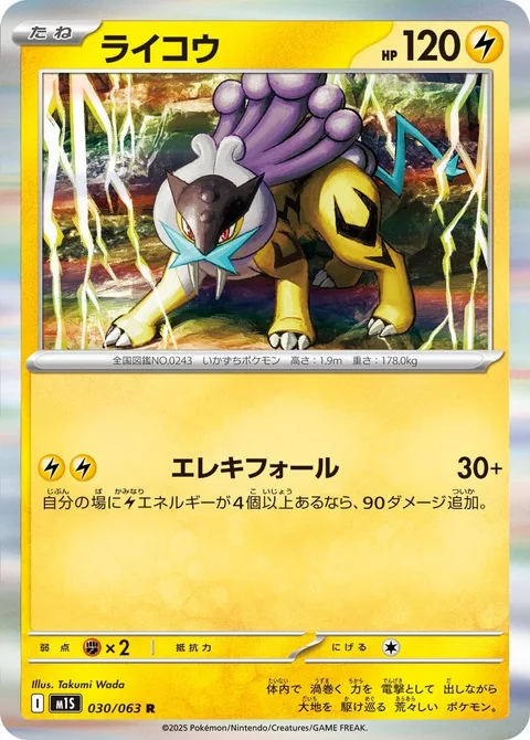 Raikou [Electro Fall]