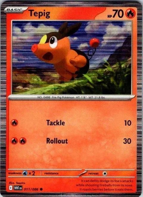 Tepig [Tackle | Rollout | SV]