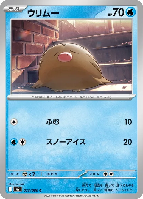 Swinub [Stampede | Icy Snow]