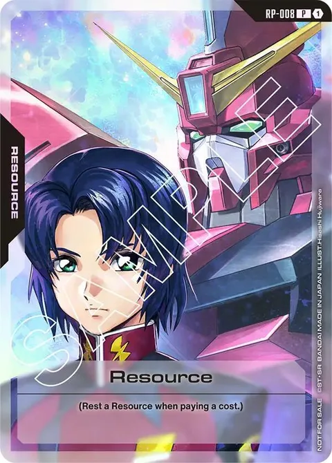 Resource (RP-008)