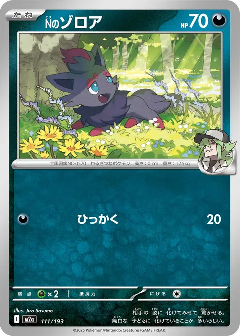 N's Zorua [Scratch]
