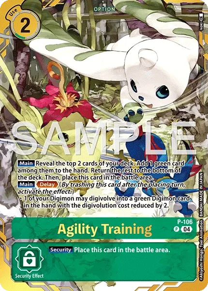 Agility Training (P-106)
