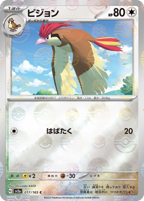 Pidgeotto [Flap]