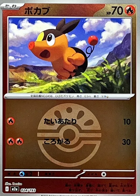 Tepig [Tackle | Rollout | SV]