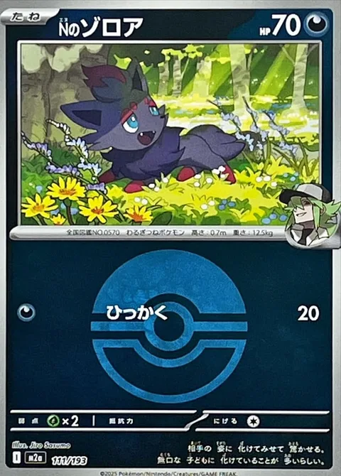 N's Zorua [Scratch]