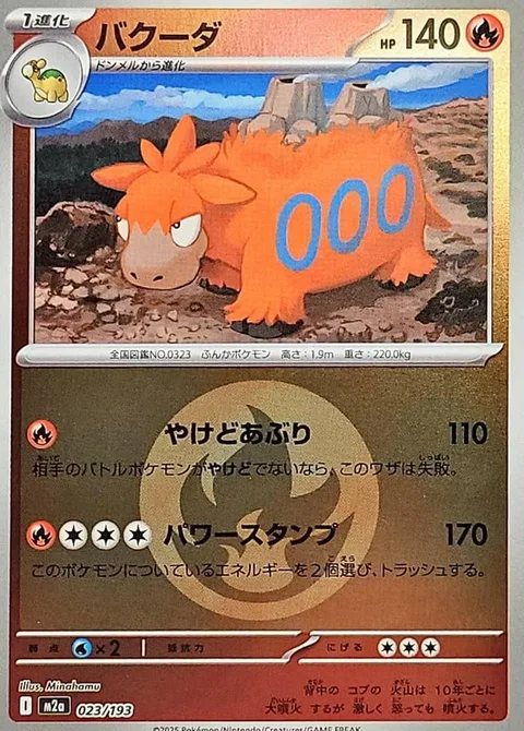 Camerupt [Roasting Burn | Power Stomp]