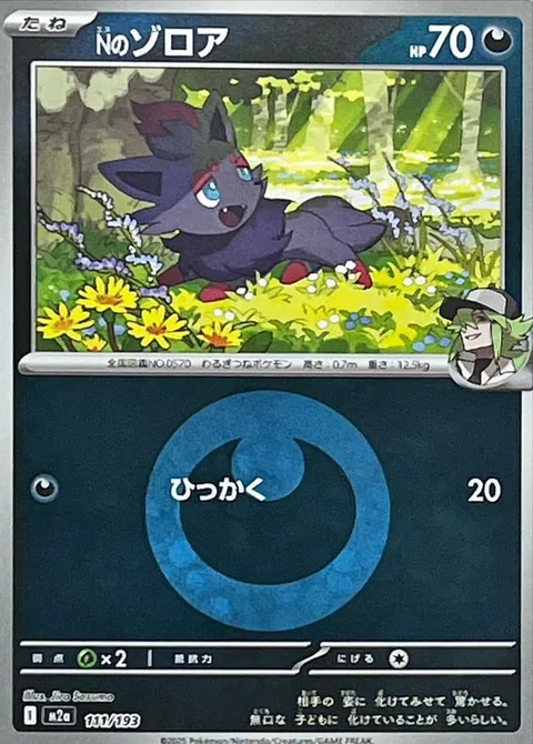 N's Zorua [Scratch]