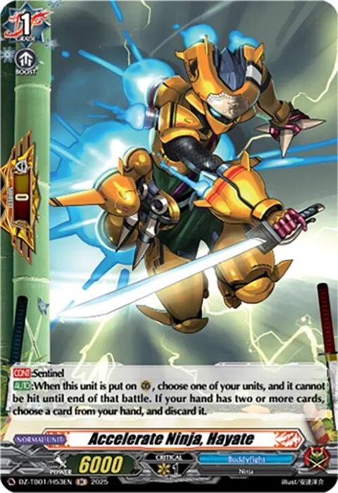Accelerate Ninja, Hayate [D-Format]