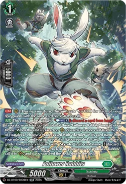 Follower Rabbits [D-Format]