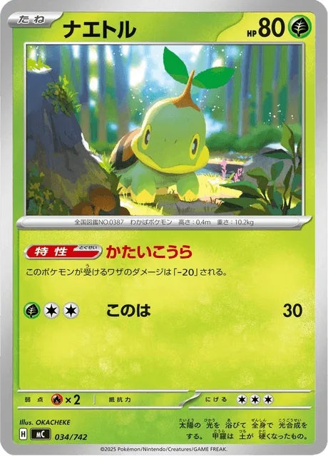 Turtwig [Solid Shell | Leafage]