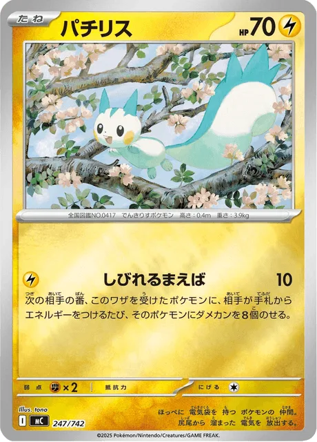 Pachirisu [Electrified Incisors]