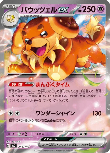 Dachsbun ex [Time to Chow Down | Wonder Shine]
