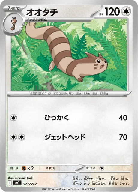 Furret [Scratch | Jet Headbutt]