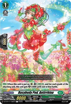 Busybody Pod, Antirrhina [D-Format]