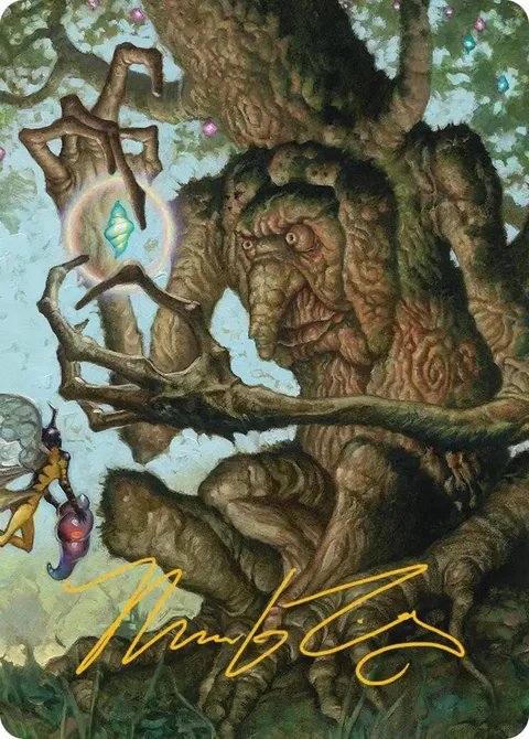 Art Series: Faeburrow Elder