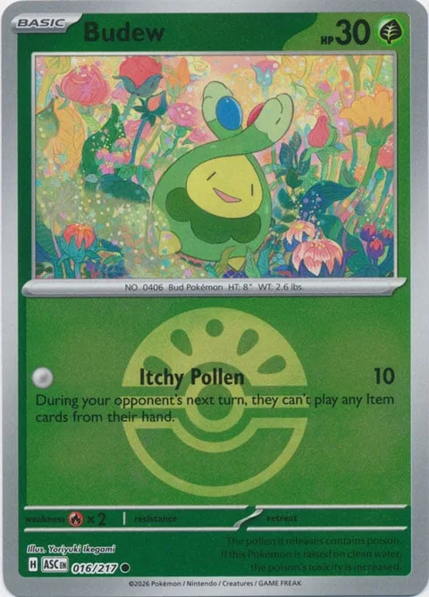 Budew [Itchy Pollen]