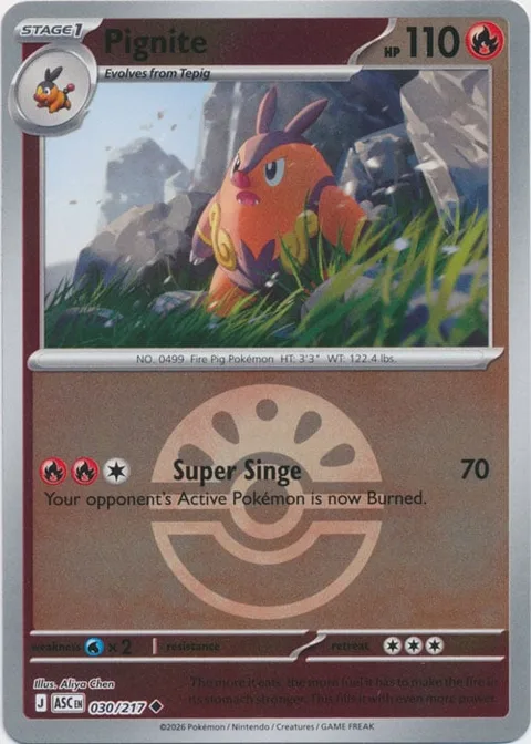 Pignite [Super Singe]